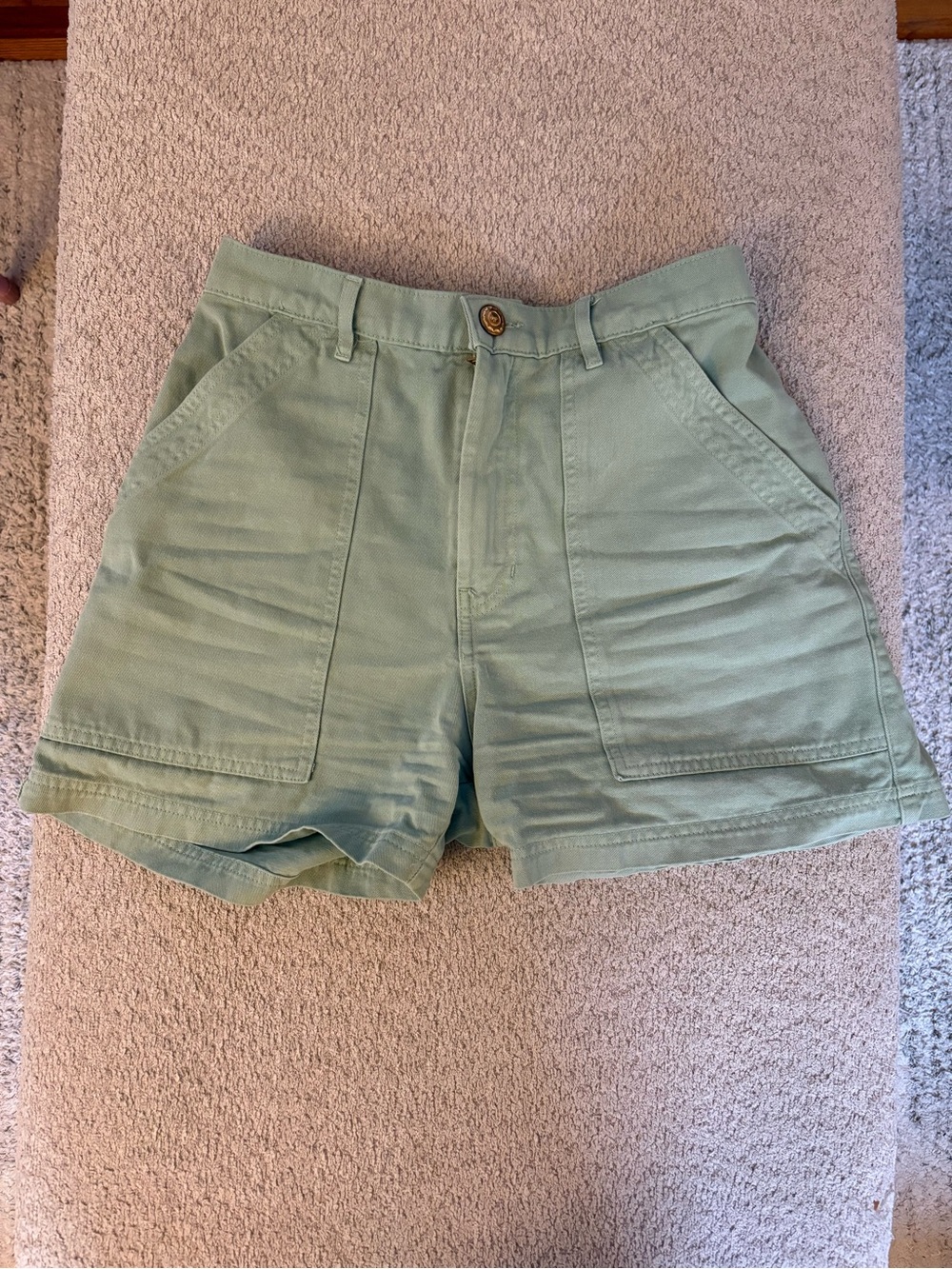 Big Bud Press Work Shorts in Sage Green